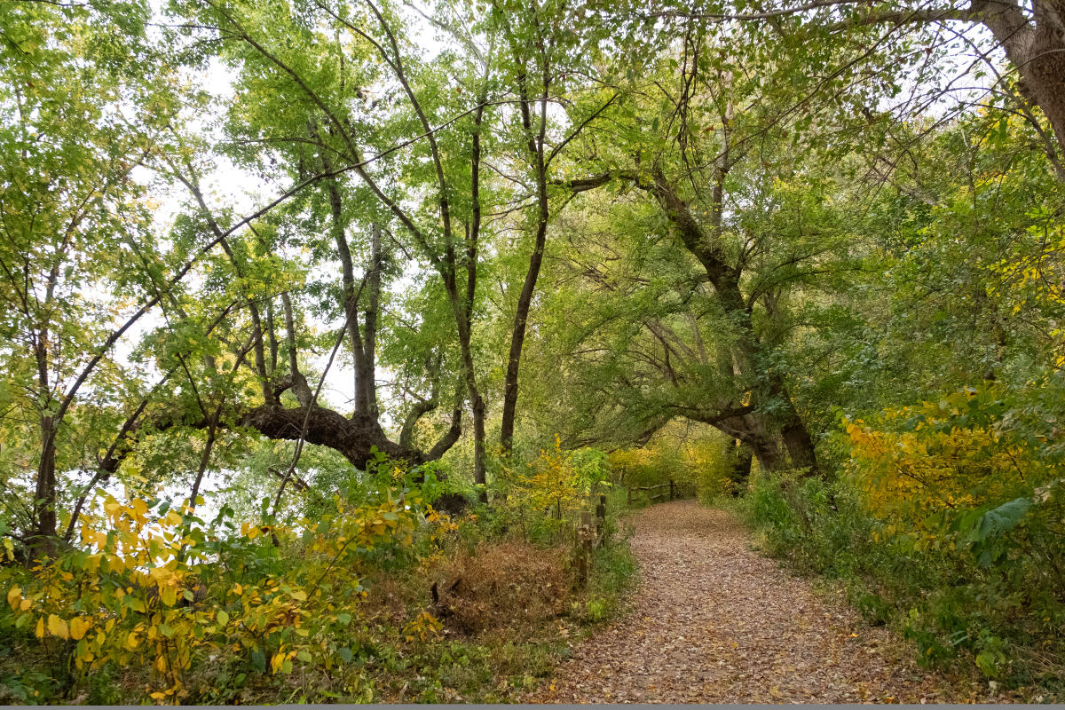Riverbend Park, charlotte geary, obvfx