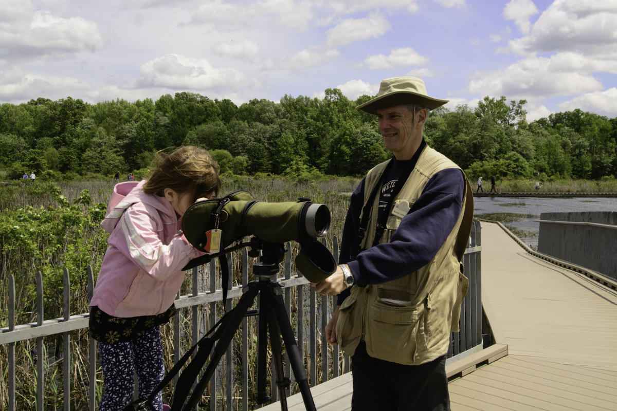 Huntley Meadows Park - Birding - Fairfax County Park Authority - Bird Walks - Tours