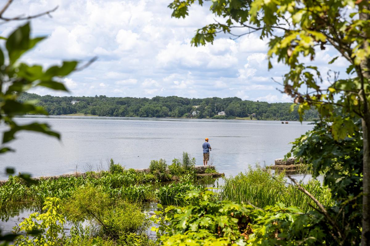 A man in a blue shirt fishing at Mason Neck State Park