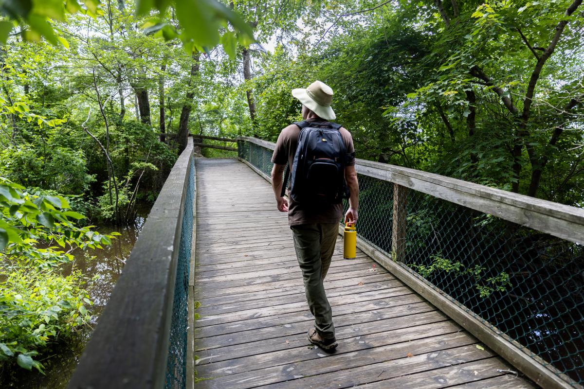 Man near to camera walking towards the end of a nature path
