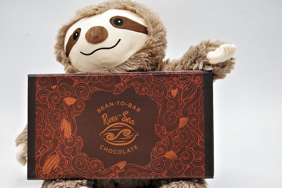 River Sea Chocolates - Sampler Pack - Sloth Toy - Made in Fairfax Gift Guide