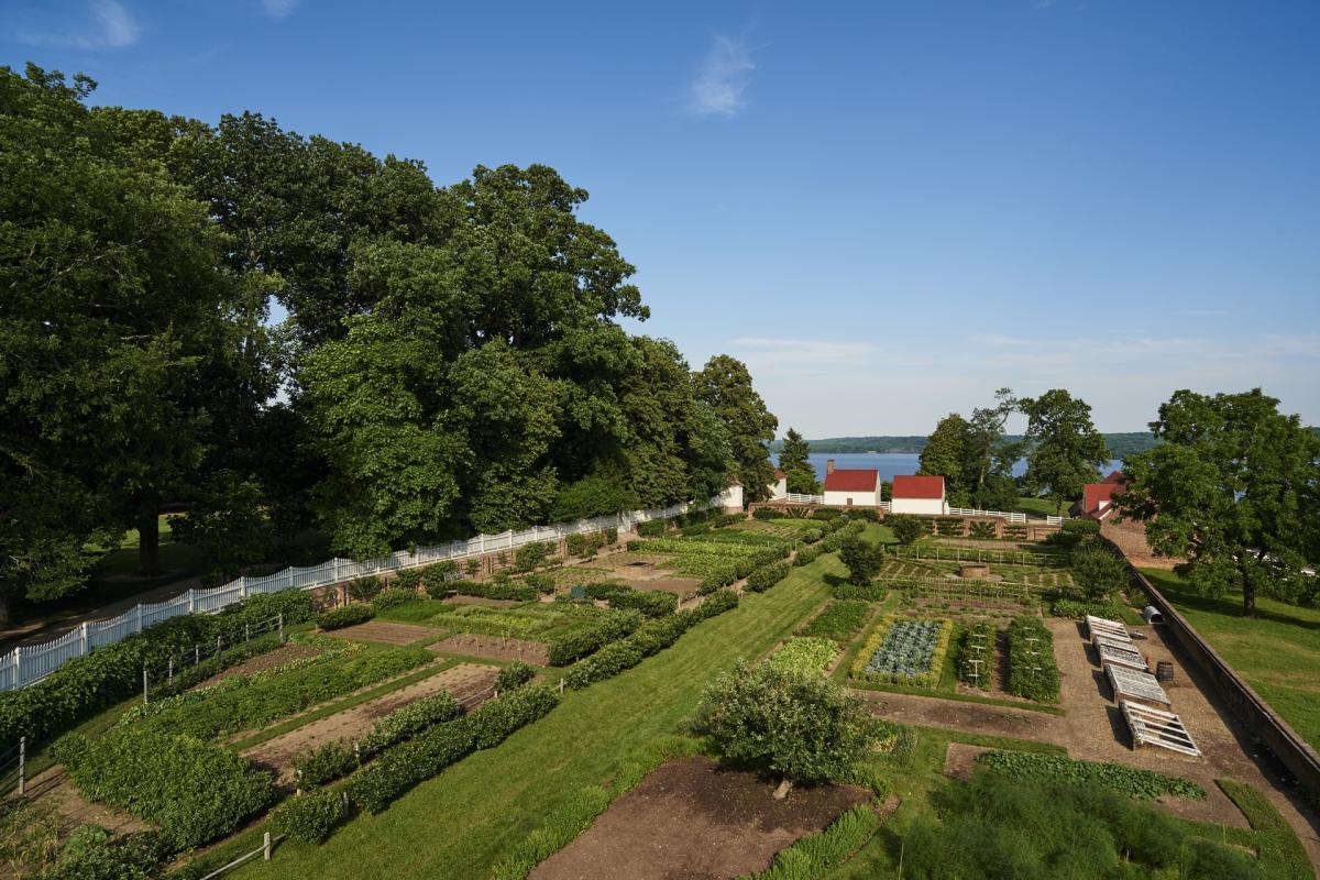 George Washington's Mount Vernon - Kitchen Garden