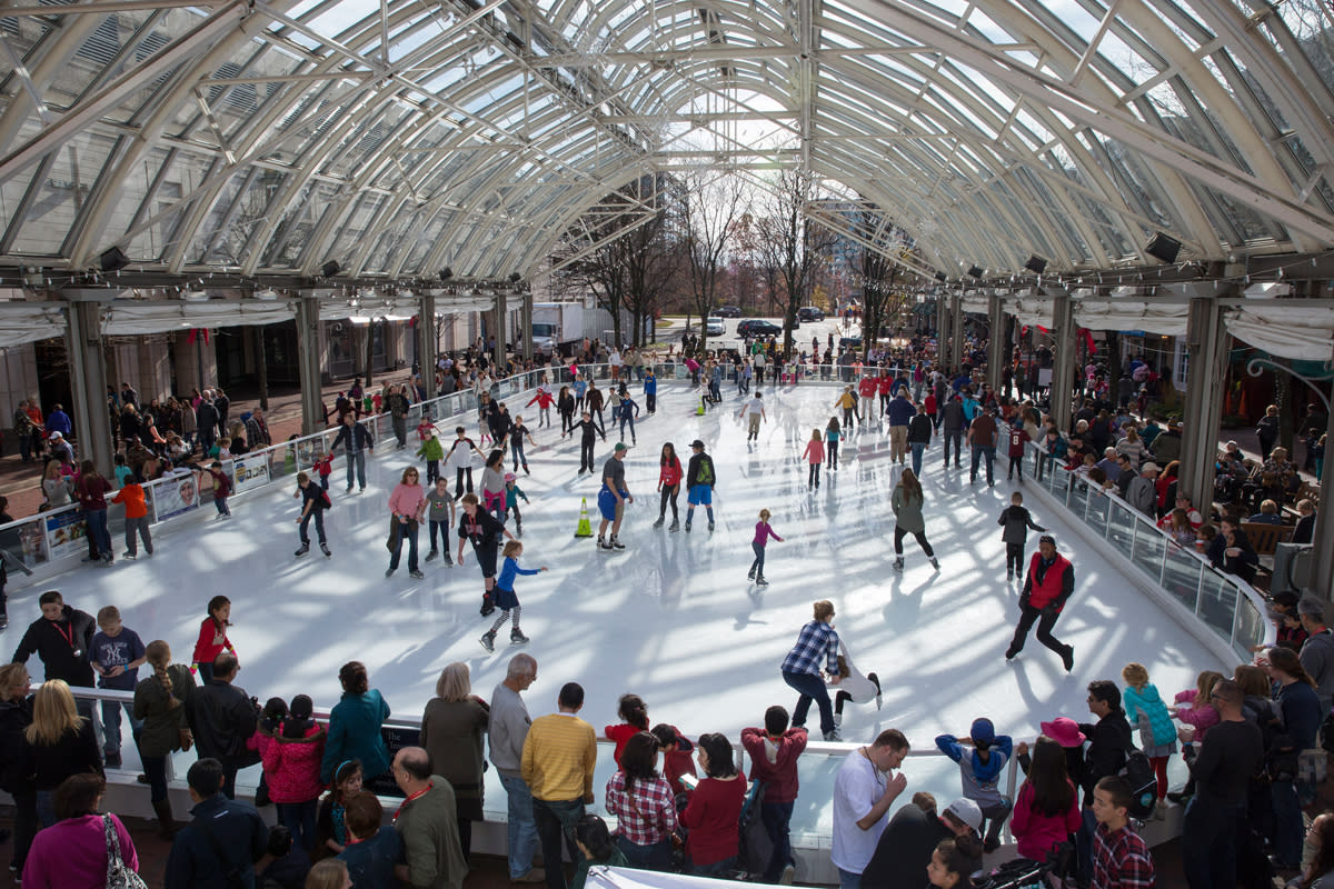 Reston Ice Skating