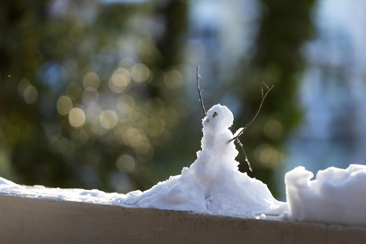 Reston - Lake Anne - Charlotte Geary