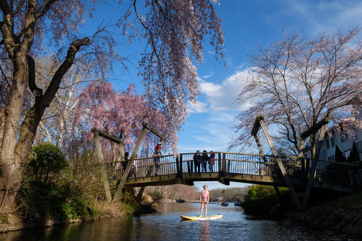 Van Gogh Bridge in Reston.