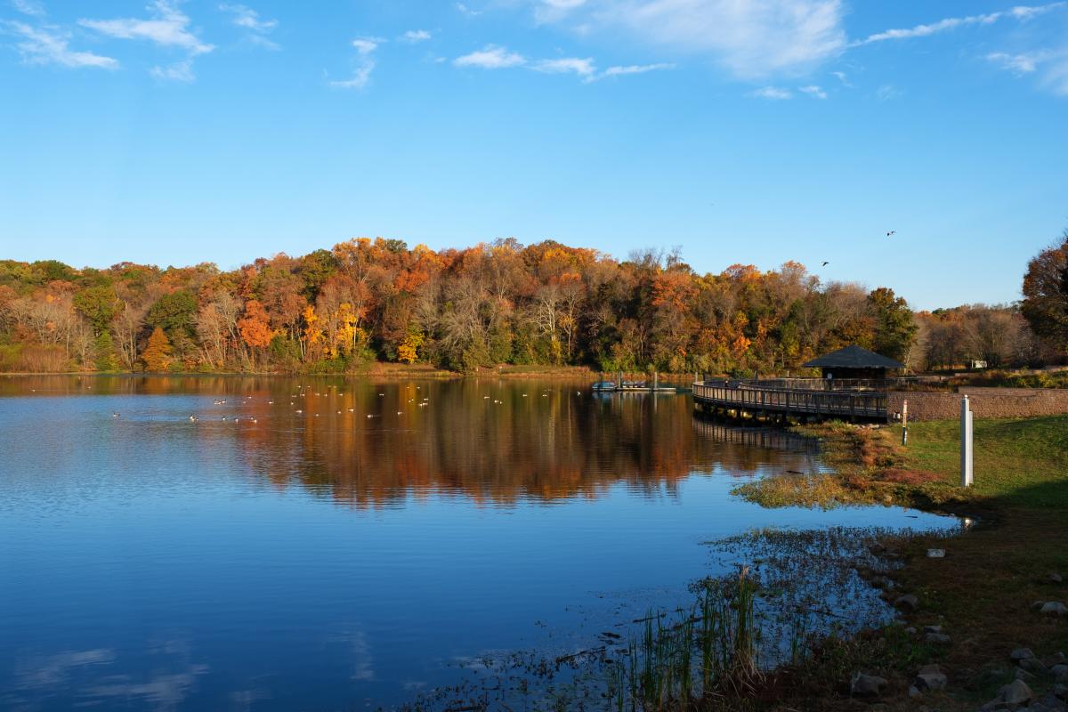 Lake Fairfax - Fall - Foliage- Reston