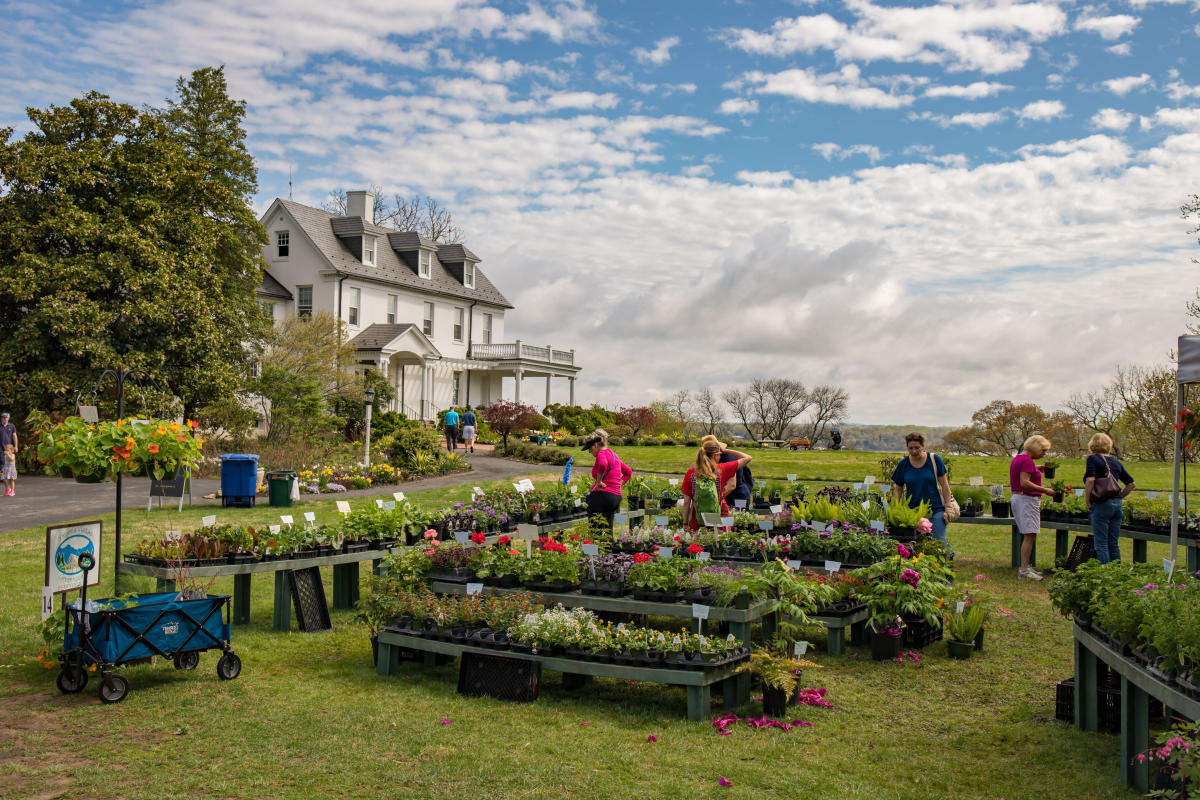 River Farm Plant Sale