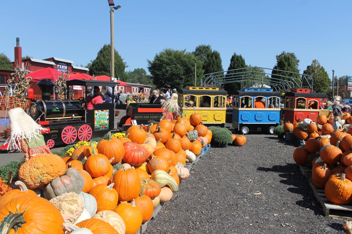 Reston Fall Fest - Family Friendly - Fall - Festival - 2021