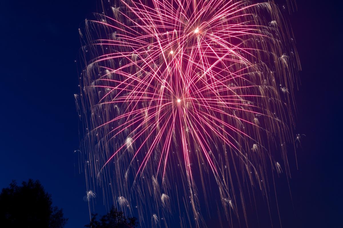 pink fireworks exploding in the air at night with treetops in the bottom left of the photo frame