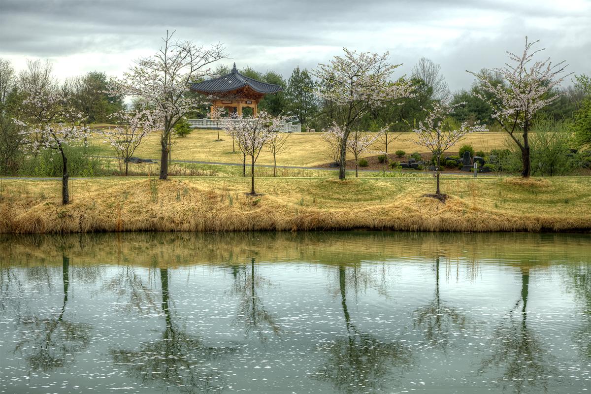 Korean Bell Garden
