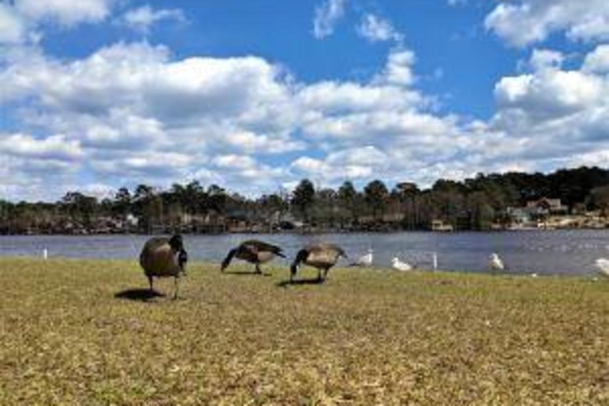 Hope Mills Lake