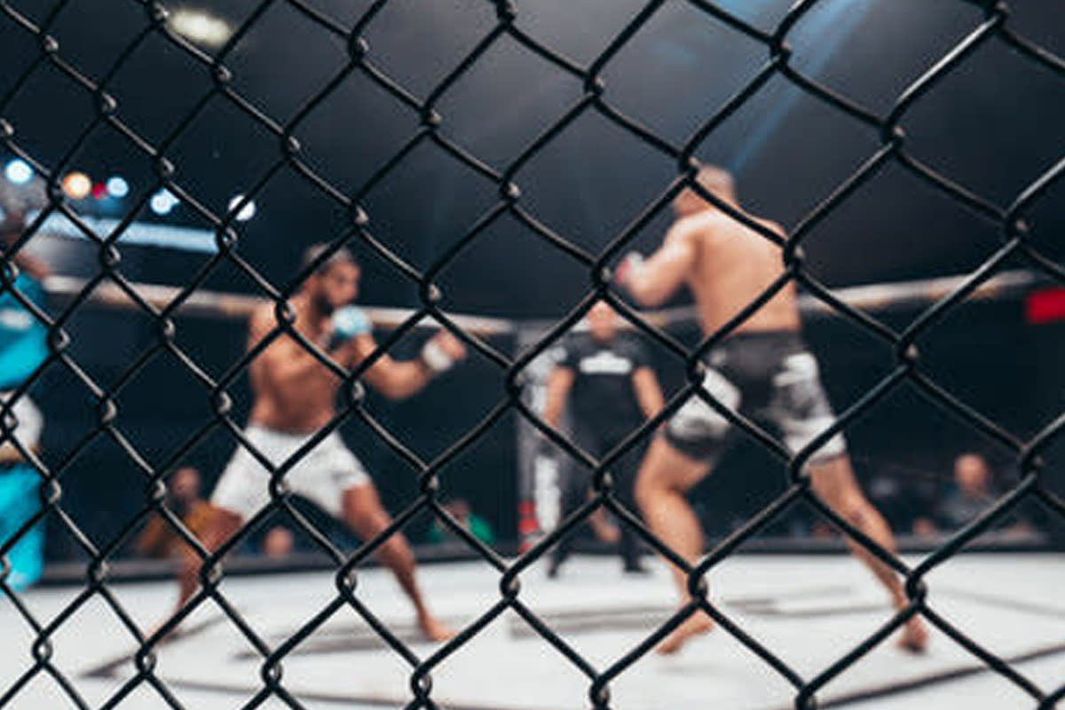MMA Battlegrounds