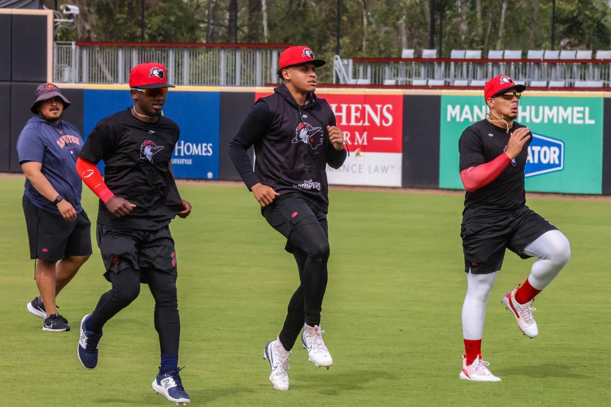 Woodpeckers Warming Up