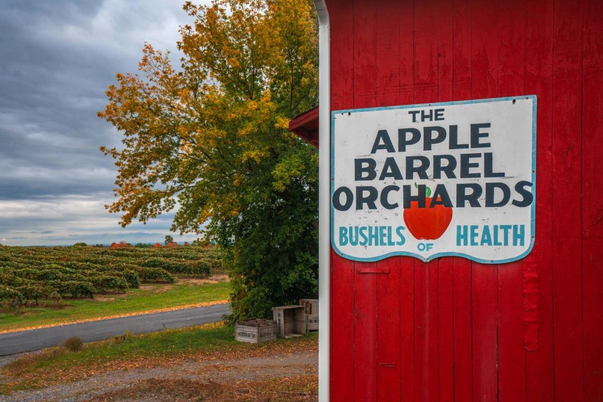 Apple Barrel Orchards in Penn Yan New York farm store and apple picking