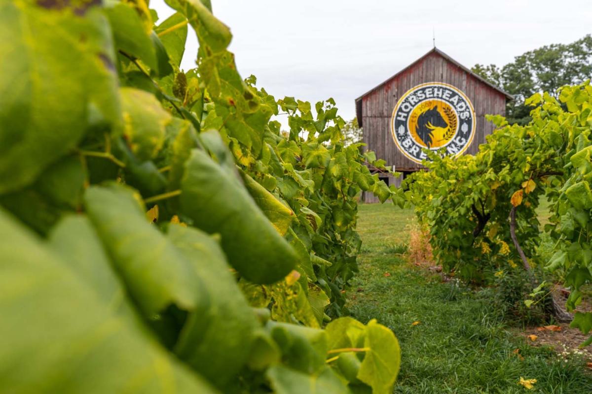 Horseheads Brewing Barn in Schuyler County