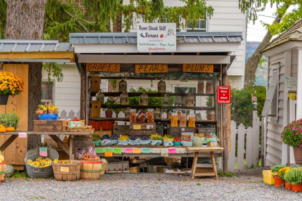 fresh produce at Thyme Stands Still roadside farm stand