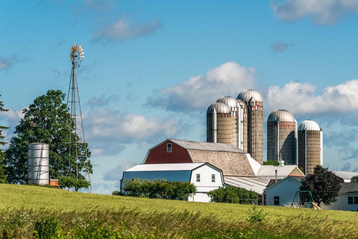 summer farm and barn scene in Finger Lakes Wine Country