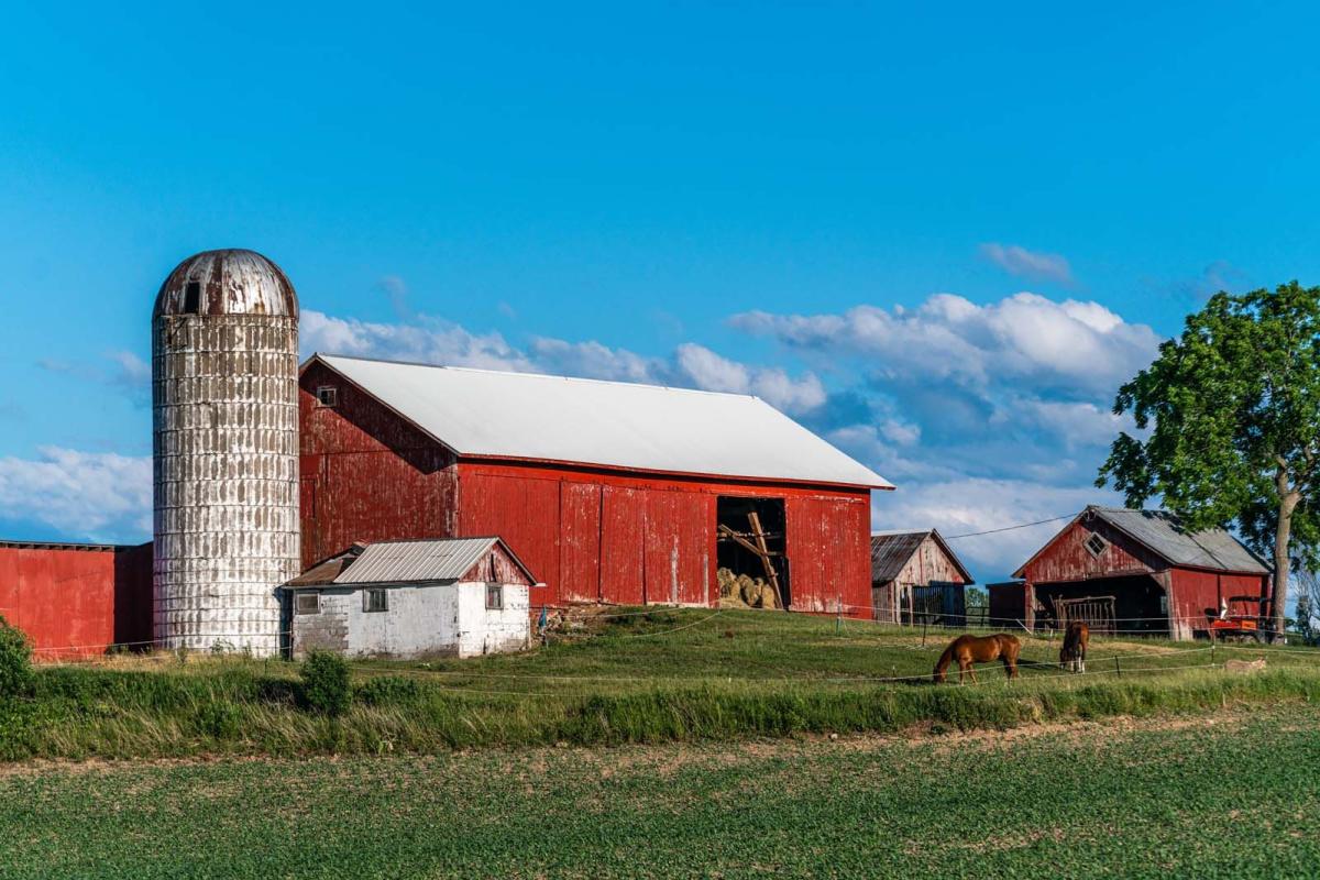 Horses grazing in a pasture by a red barn and farm in finger lakes wine country