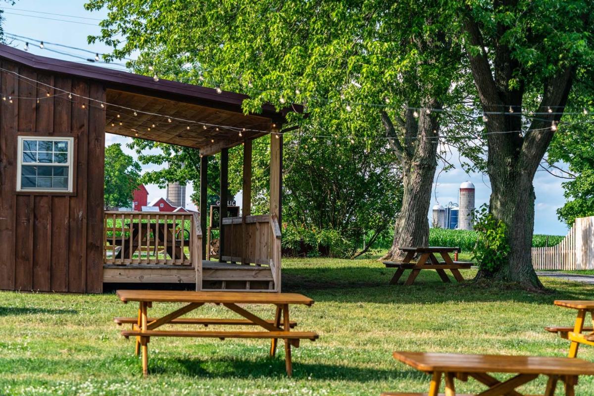 picnic tables at Spotted Duck Creamery in Finger Lakes Wine Country