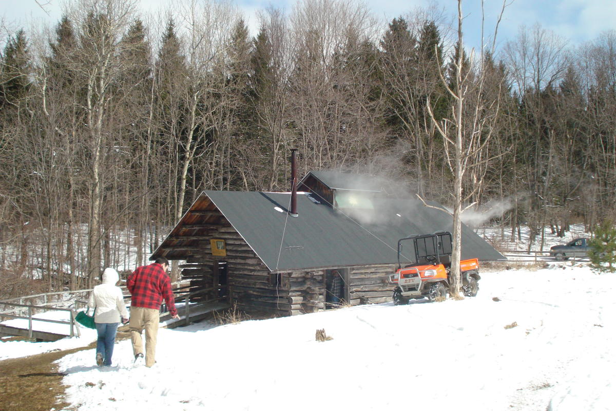 NYS State Maple Weekends are back How Sweet it is!