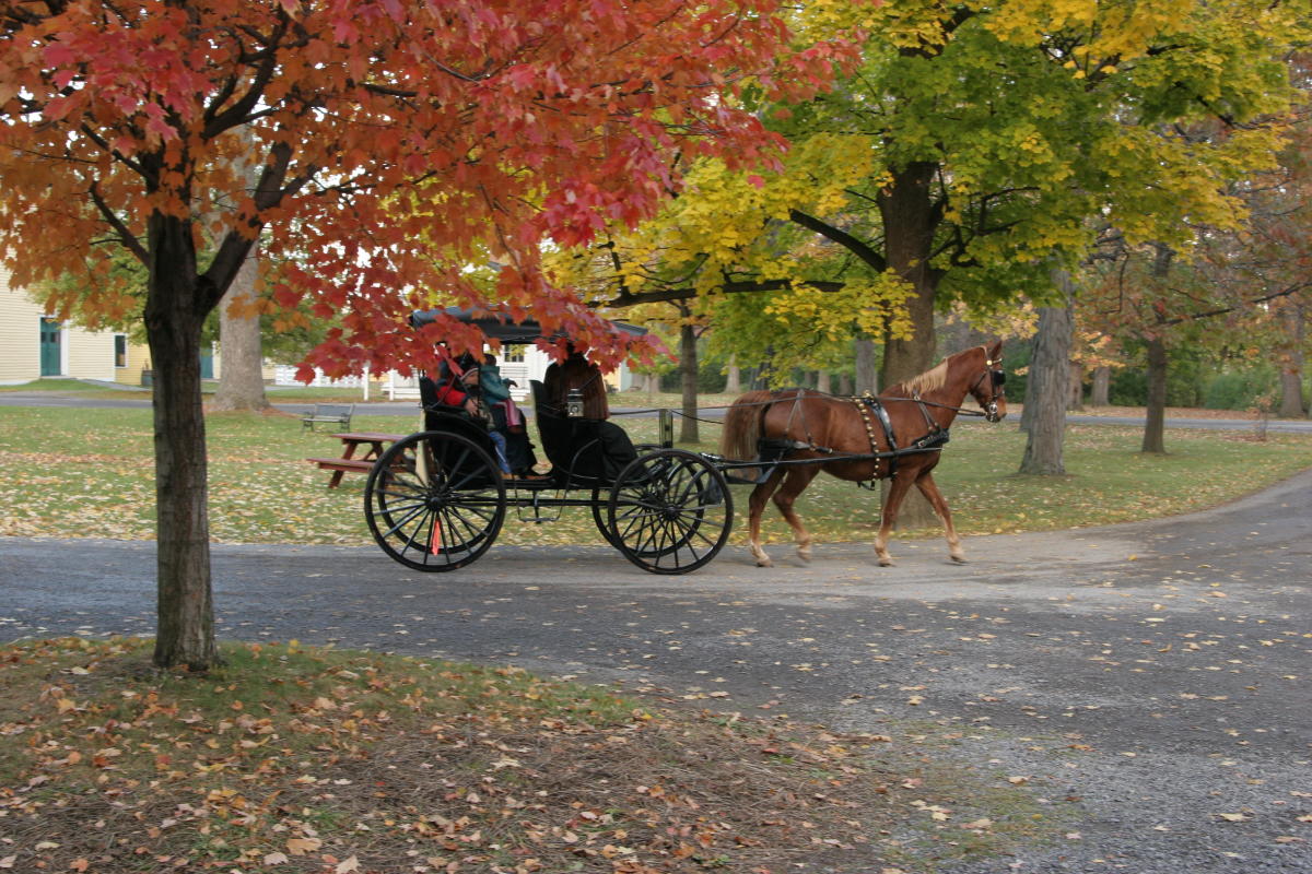 Carriage rides at the Christkindl Market held at Granger Homestead in Canandaigua