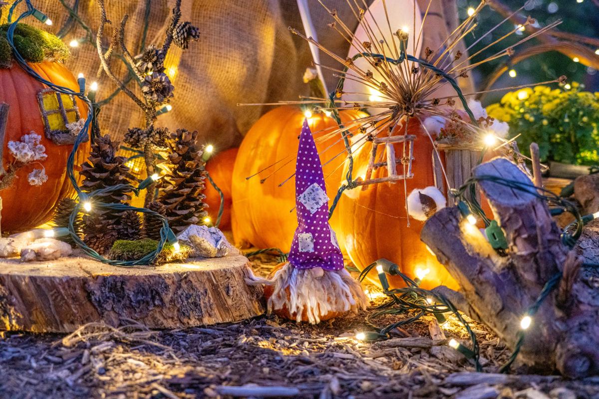 Pumpkins on Parade