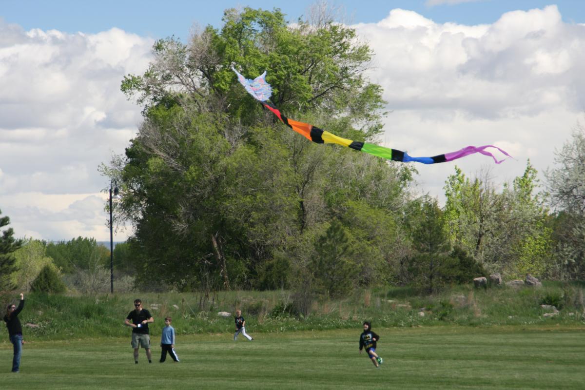 Kite Festival Spring