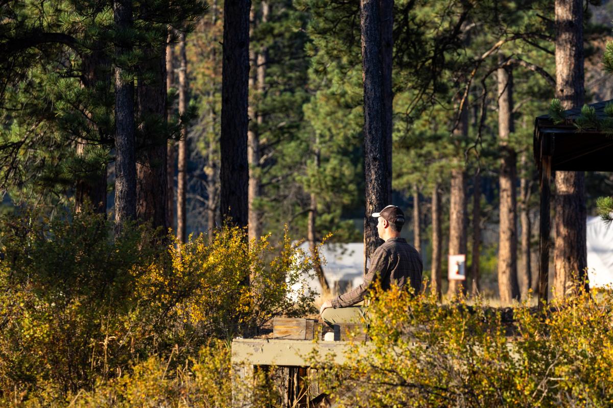 A person meditating on a wood platform surrounded by evergreen trees