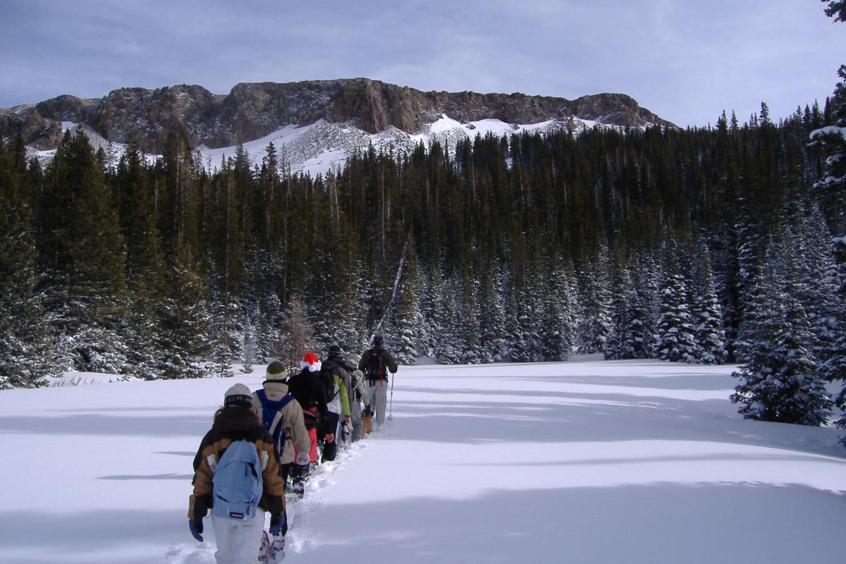 Snowshoeing