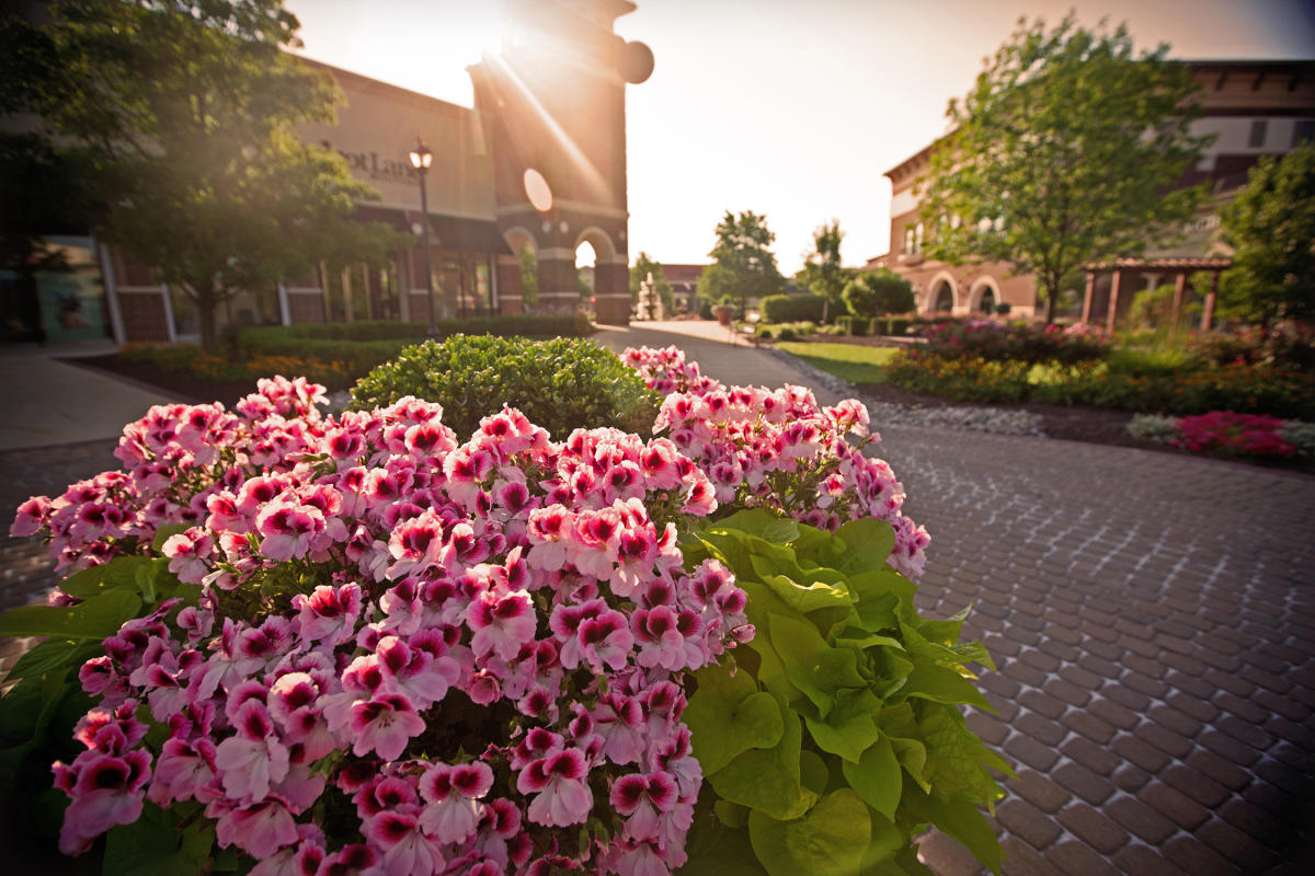 Spring flowers at Jefferson Pointe Shopping Center in Fort Wayne