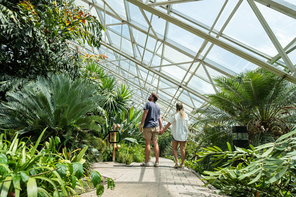 Couple exploring the gardens at the Botanical Conservatory