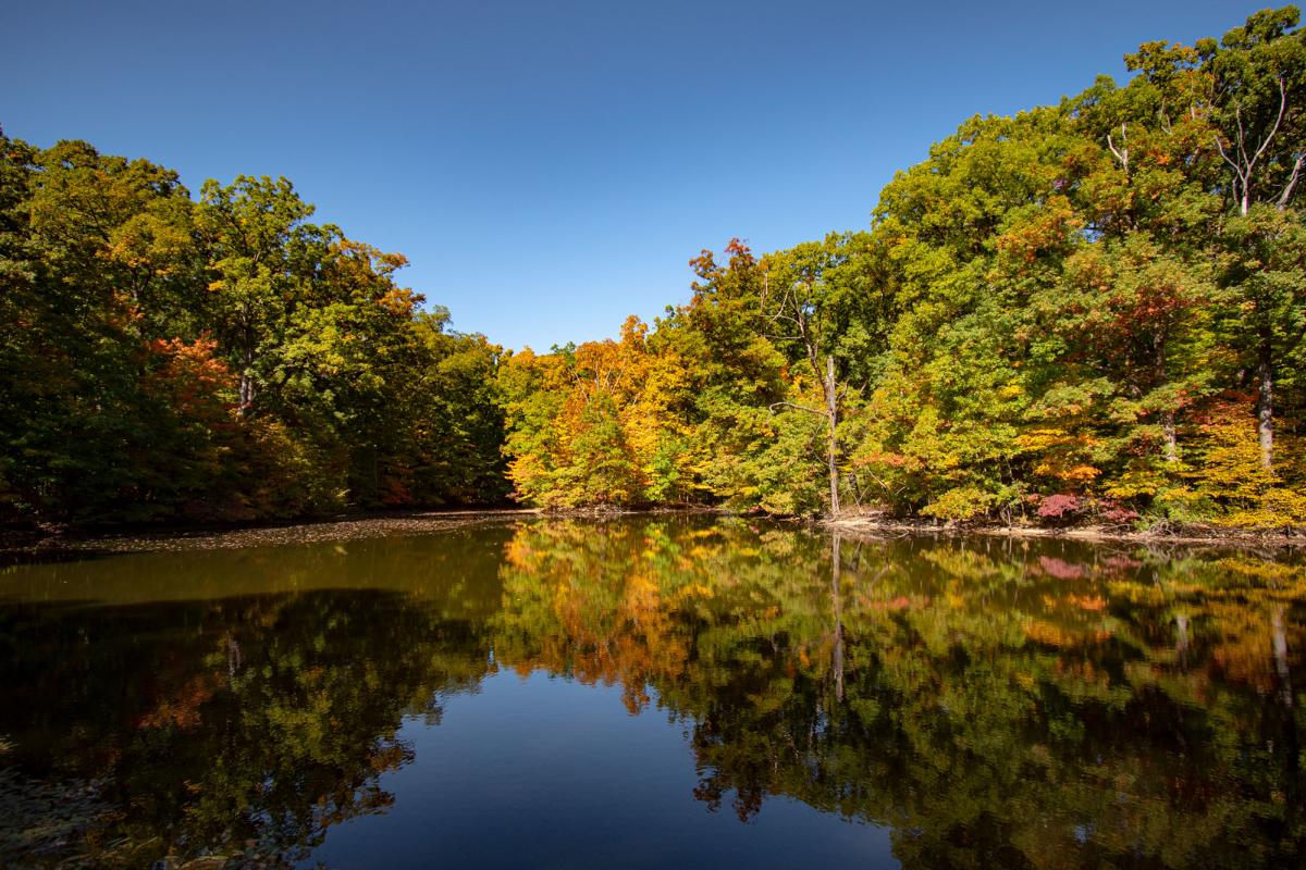 Lindenwood Nature Preserve in Early Fall