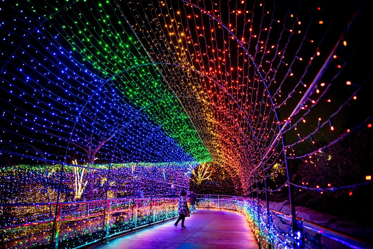 Wild Lights at the Fort Wayne Zoo are a must visit for the holiday season. Wild Lights at the Fort Wayne Zoo are a must visit for the holiday season.