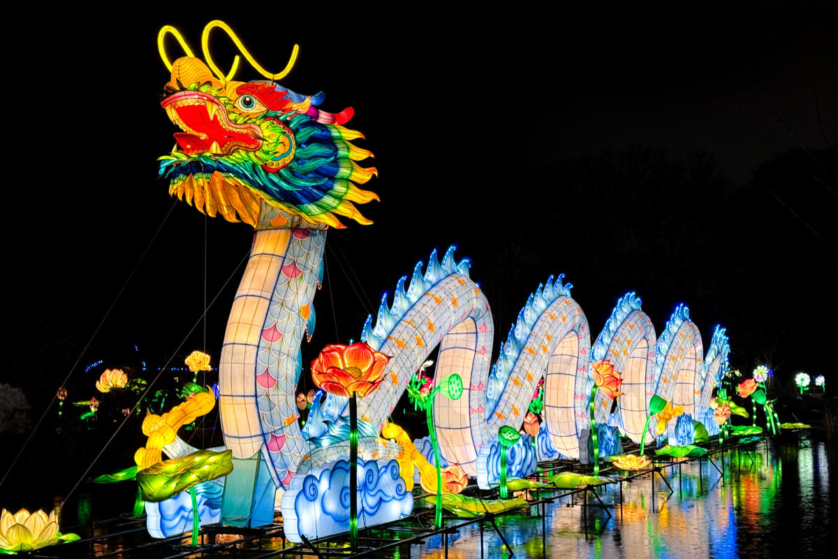 Giant Dragon display at Glo Wild at the Fort Wayne Zoo.