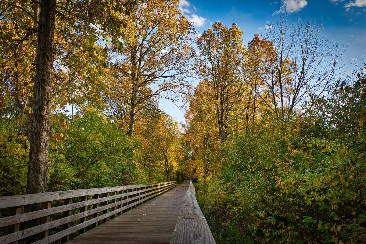 The Rivergreenway Trail in Fall