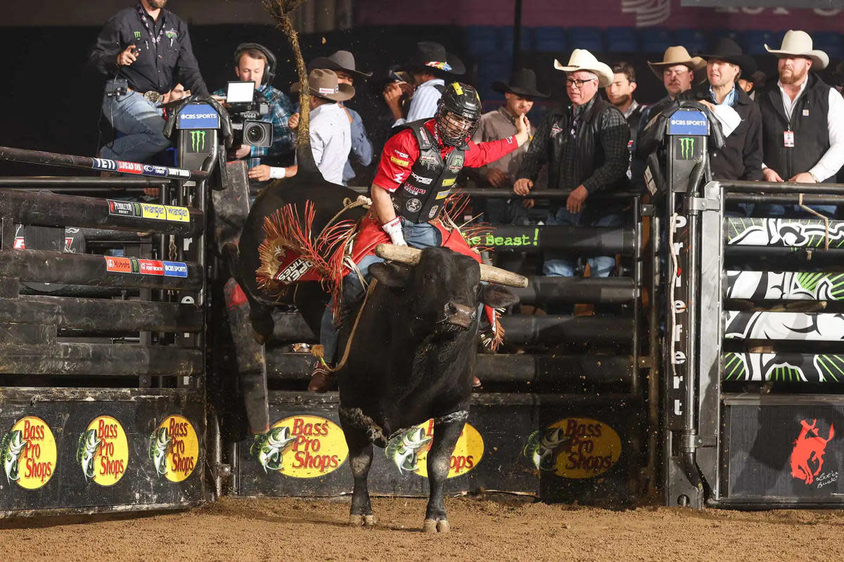 A bull rider and bull come charging out of the pen at a PBR event