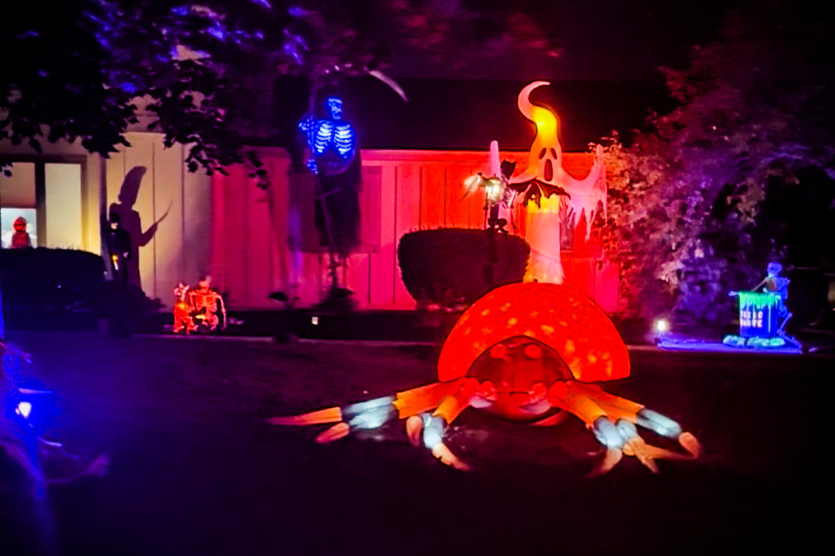 Halloween Lights Display at 12019 Weigela Court, Fort Wayne