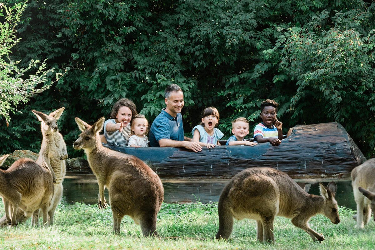 Fort Wayne Children's Zoo Kangaroo and Log Ride Jigsaw Puzzle Photo