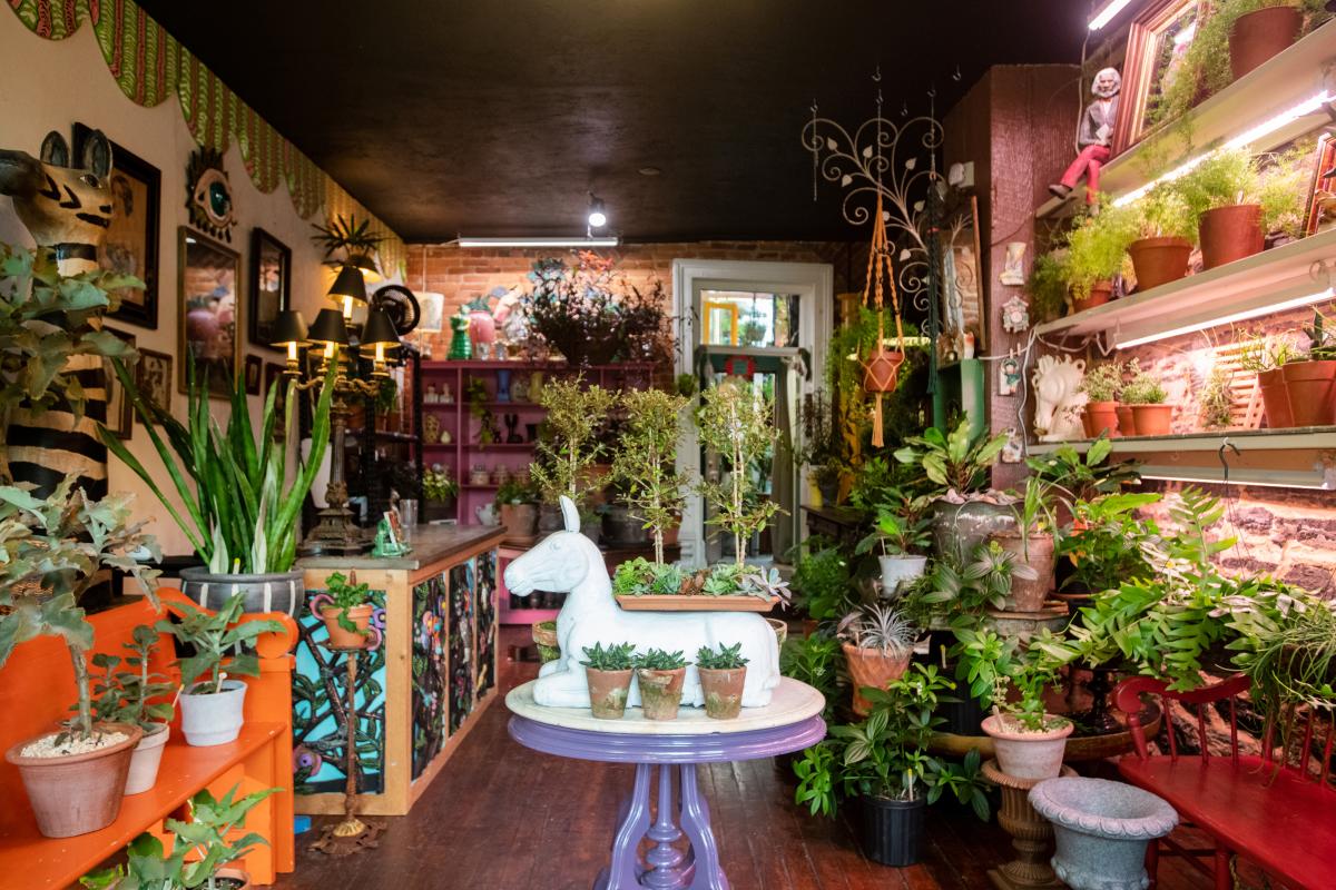 Inside View of Big Lush