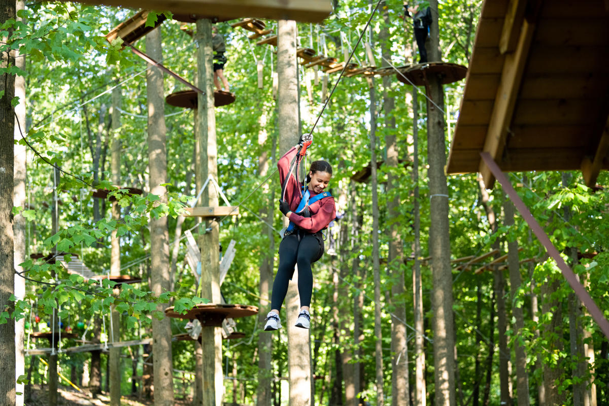Tree Trekkers - Photoshoot 2022