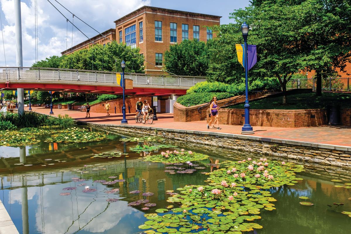 People jogging and riding bikes along Carroll Creek