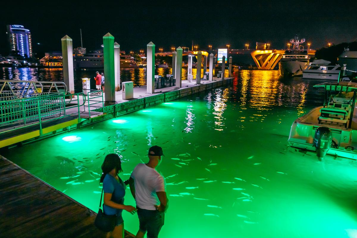 15th Street Fisheries