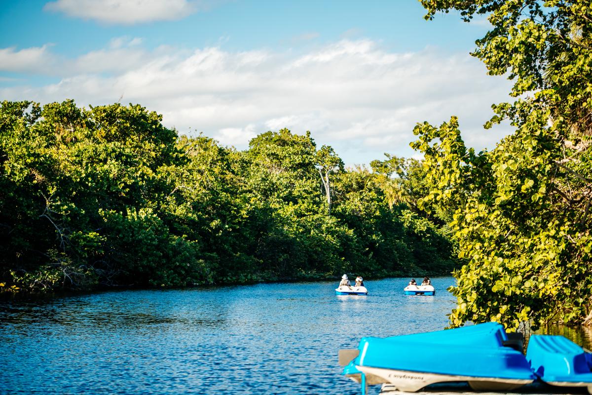 Birch State Park Pedal Boats