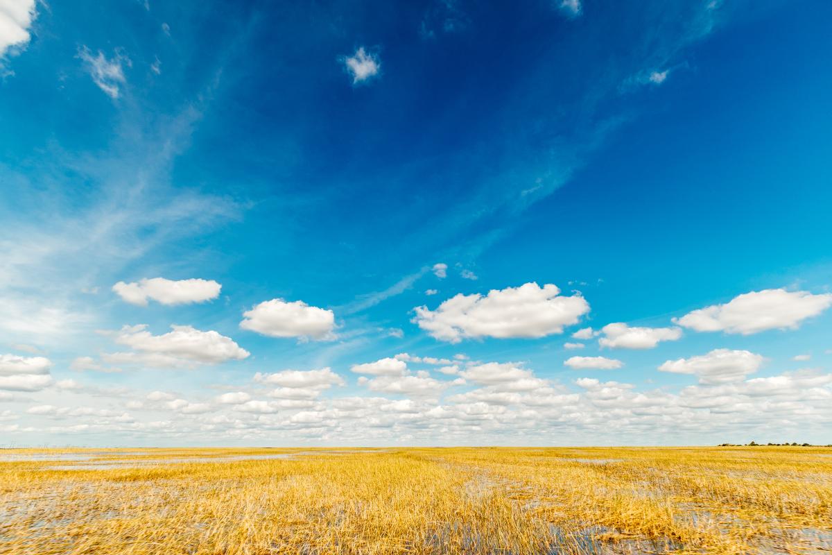 Florida Everglades