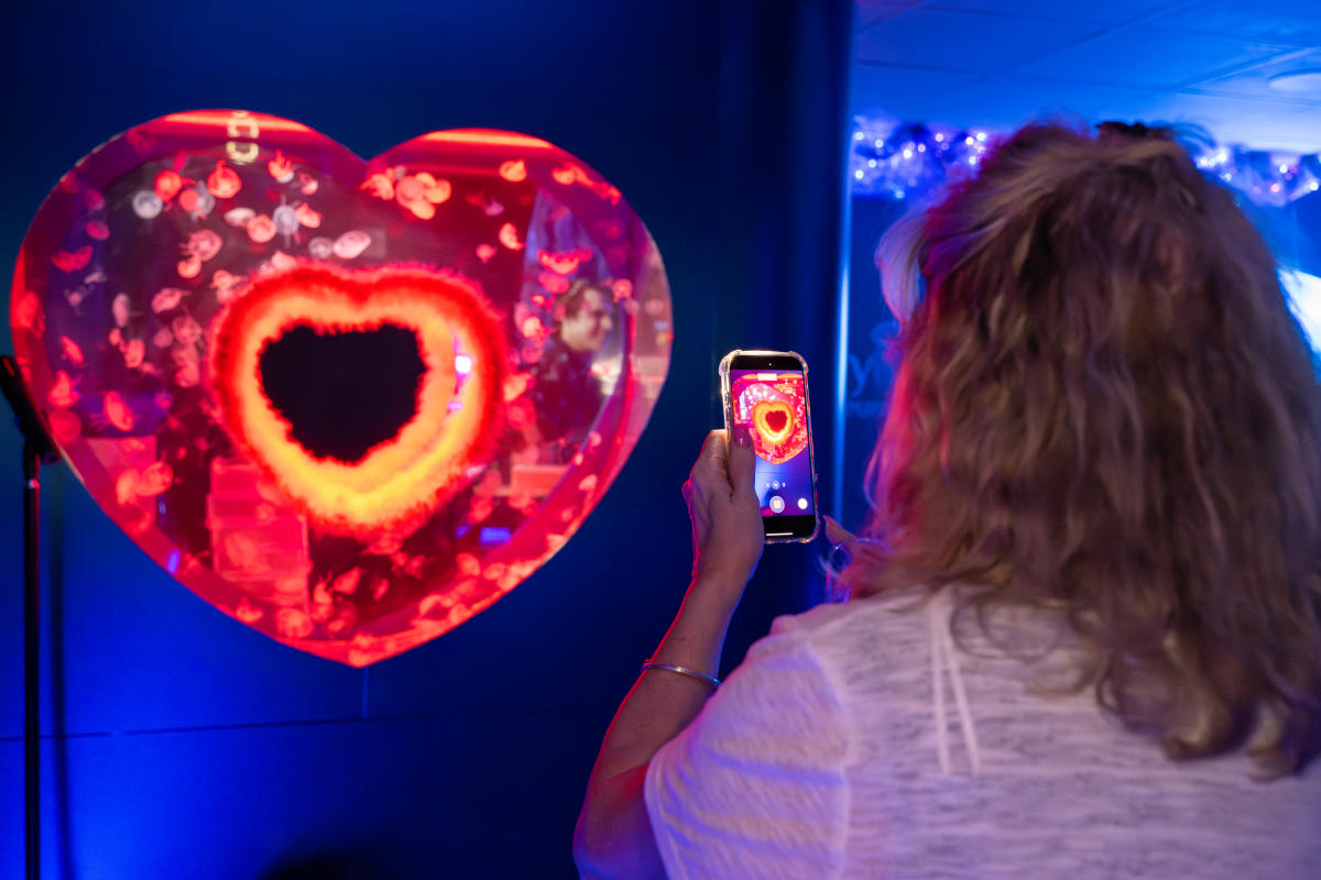 Jelly Fish Museum