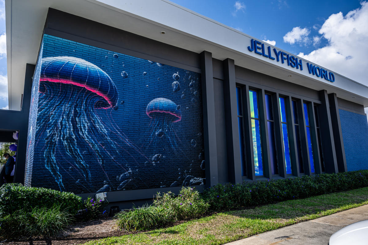 Jelly Fish Museum