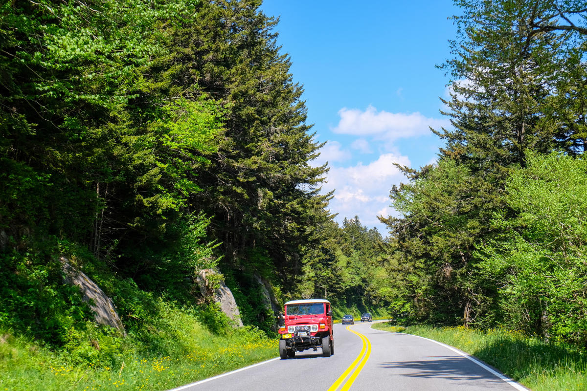 Scenic drive thru the Smokies