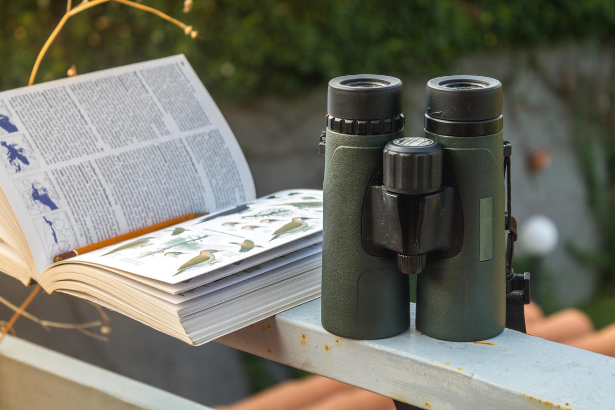 birdwatching binoculars