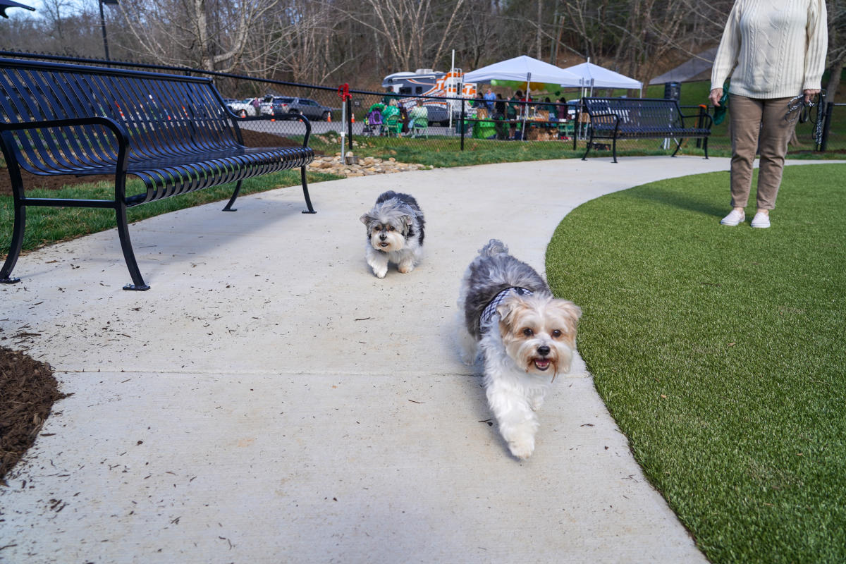 Dog park gatlinburg