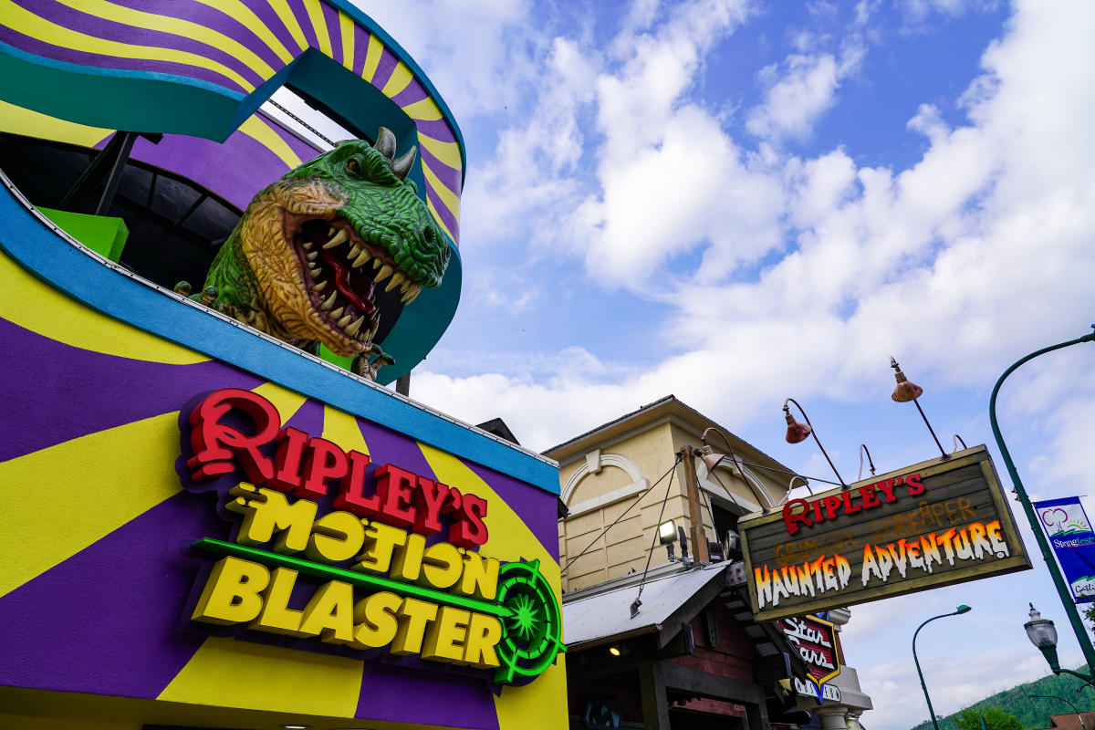 Regular member application chamber